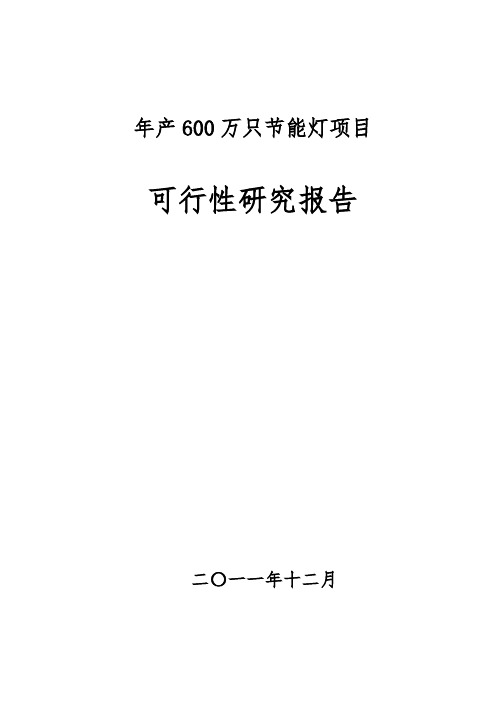 珲春年产600万只节能灯项目可行性实施报告