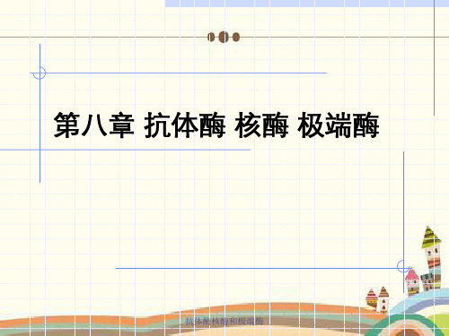 抗体酶核酶和极端酶