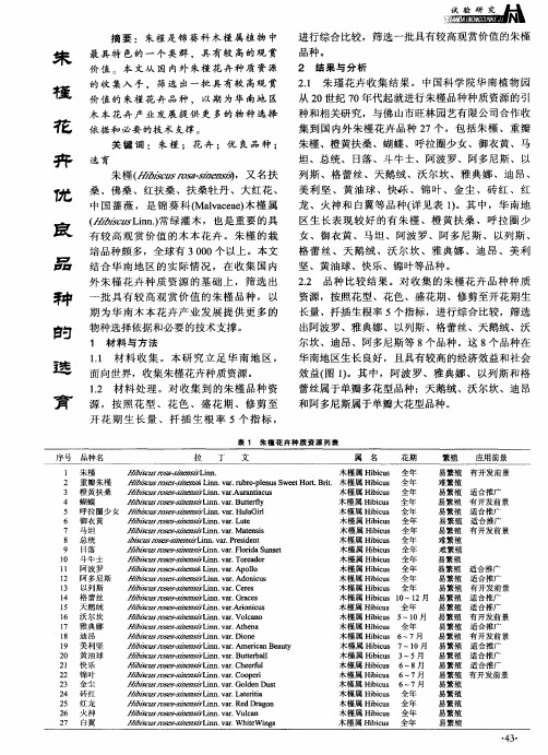 朱槿花卉优良品种的选育