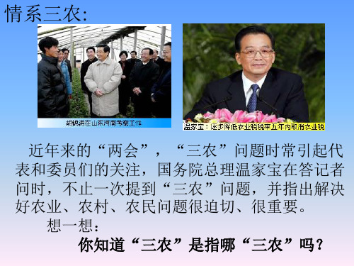 八年级地理上册 第四章 第一节 农业课件 新人教版