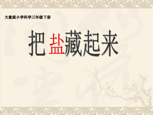 大象版科学三下41《把盐藏起来》3PPT课件