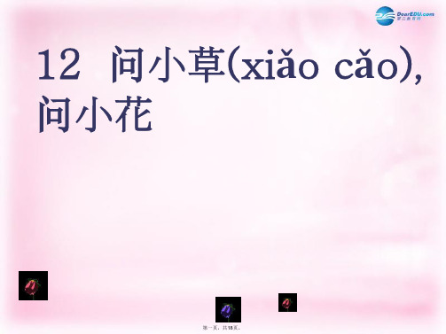一年级语文上册《问小草,问小花》课件1 北京版
