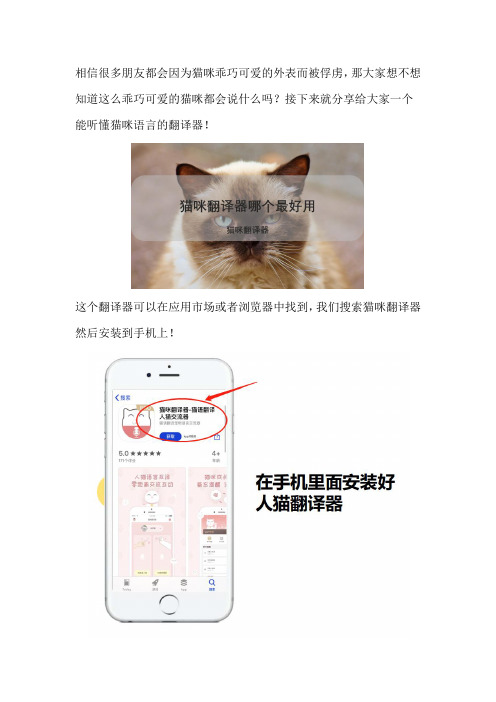 猫咪翻译器哪个最好用