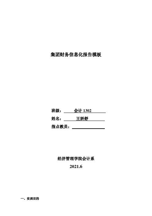集团财务信息化报告模板
