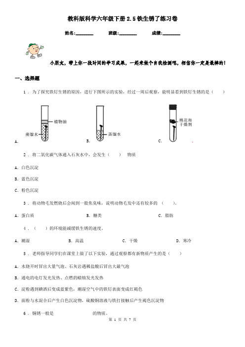 教科版科学六年级下册2.5铁生锈了练习卷