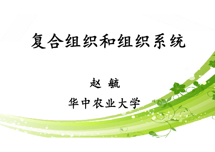 植物学201-复合组织与组织系统_17