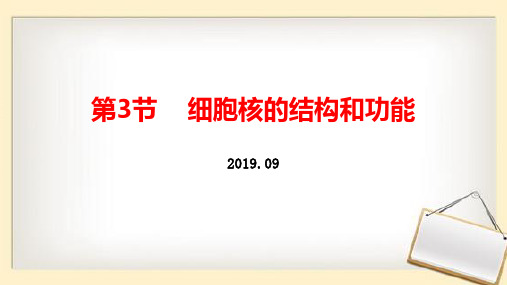 细胞核的结构和功能新教材人教版必修