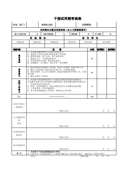 管理干部试用期考核表