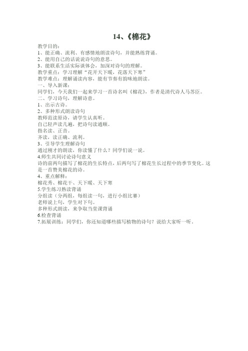 《棉花》教案