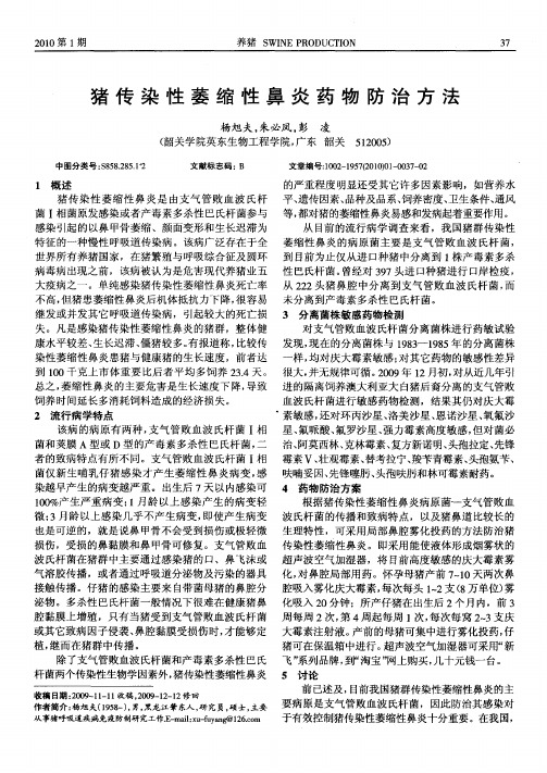 猪传染性萎缩性鼻炎药物防治方法