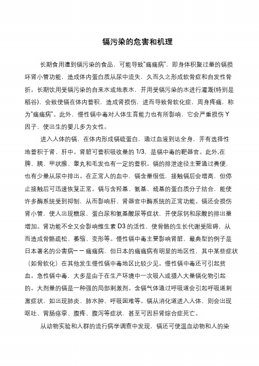 镉污染的危害和机理