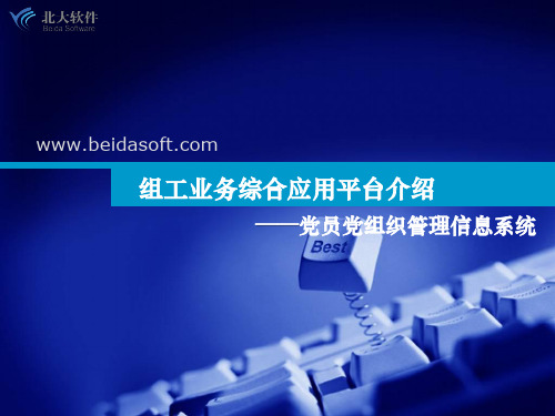 党员党组织管理信息系统