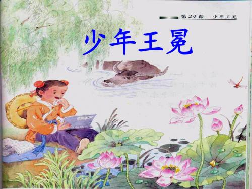 24《少年王冕》ppt