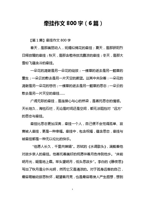 牵挂作文800字(6篇)