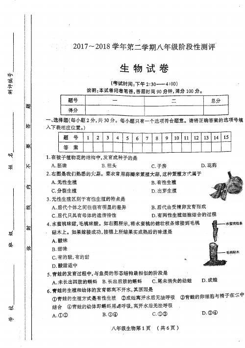 山西省太原市2017-2018学年八年级下学期阶段性测评生物试题(PDF版)
