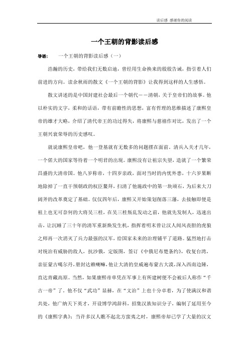一个王朝的背影读后感