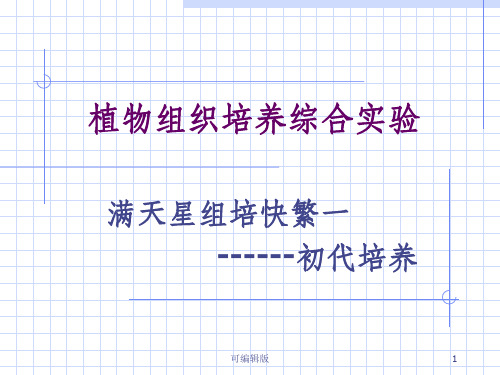 植物组织培养综合实验