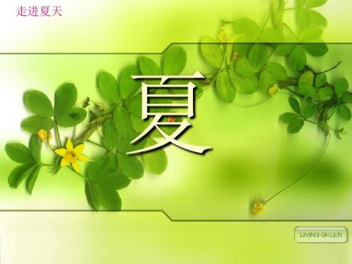 《夏》PPT课件2 (共19张PPT)