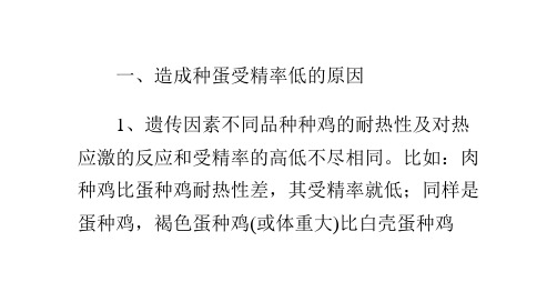 夏季鸡蛋受精率低的原因及对策
