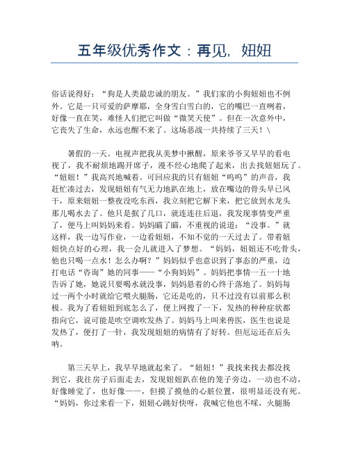 五年级优秀作文：再见,妞妞