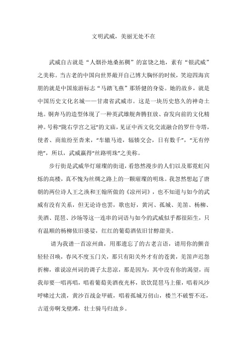 文明武威,美丽无处不在