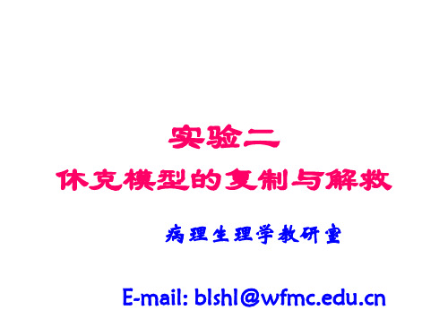 休克模型的复制与解救