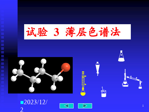 实验-薄层色谱法