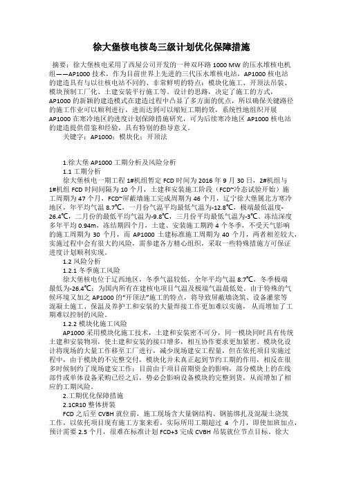徐大堡核电核岛三级计划优化保障措施