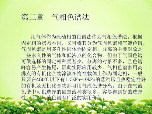 《气相色谱法》课件