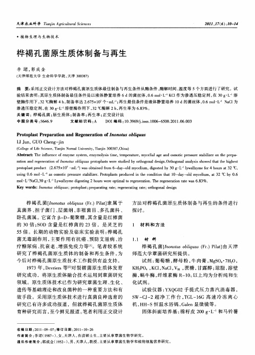 桦褐孔菌原生质体制备与再生