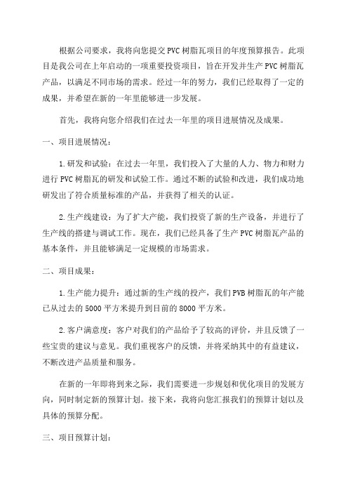 PVC树脂瓦项目年度预算报告