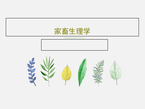 家畜生理学共31页