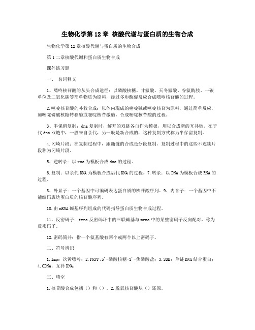 生物化学第12章 核酸代谢与蛋白质的生物合成