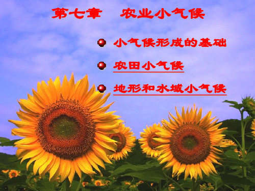 农业气象电子教案第七章农业小气候