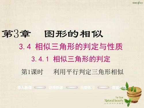 2017年秋季新版湘教版九年级数学上学期3.4、相似三角形的判定与性质课件2