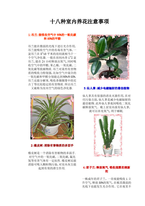 十八种室内养花注意事项