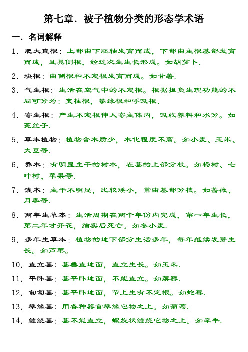 被子植物分类的形态学术语练习题