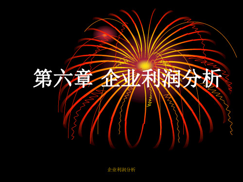 企业利润分析PPT课件