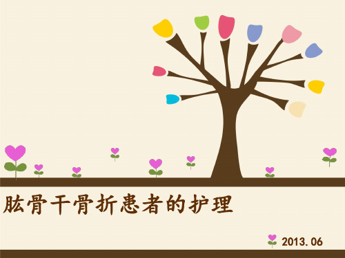 肱骨干骨折患者的护理PPT课件