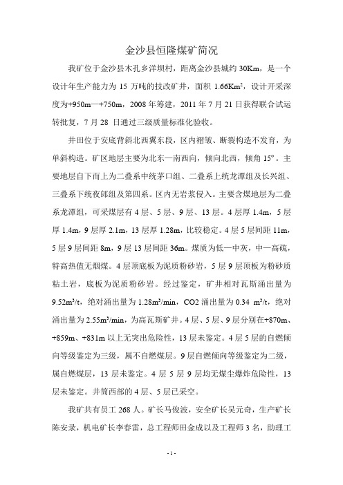 金沙县恒隆煤矿简况