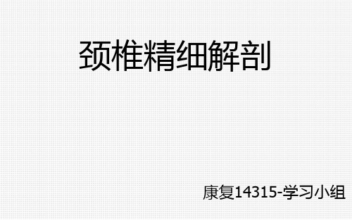 颈椎精细解剖PPT