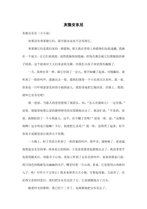 灰狼安东尼_小学五年级作文1400字