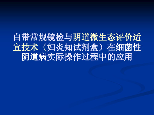 BV介绍