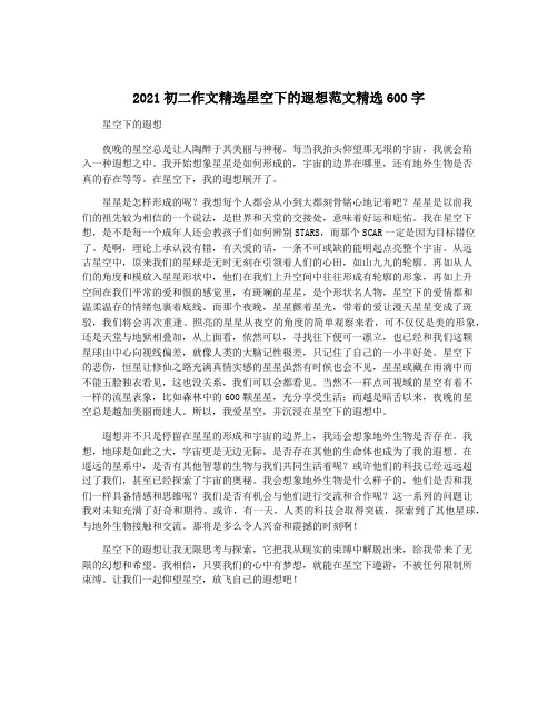 2021初二作文精选星空下的遐想范文精选600字