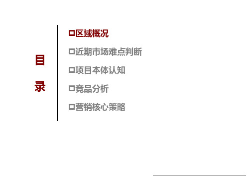 地产咨询公司重庆某项目营销策略方案