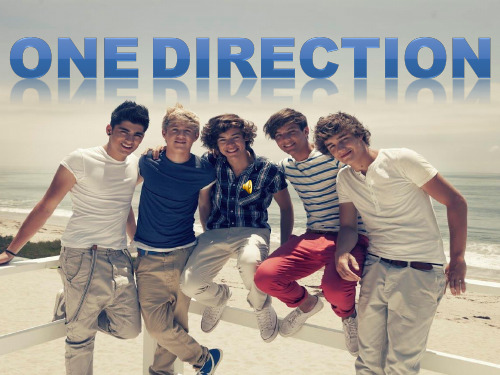 One Direction PPT