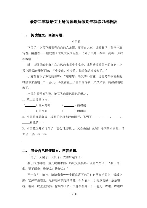 最新二年级语文上册阅读理解假期专项练习湘教版
