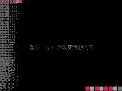 某项目推广活动策划执行案PPT(共 57张)