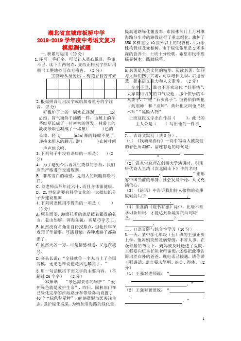 湖北省宜城市板桥中学2018_2019学年度中考语文复习模拟测试题