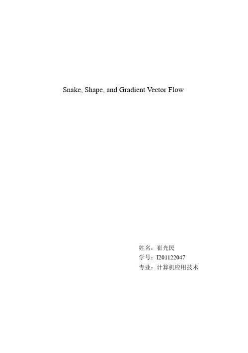 Snake, Shape, and Gradient Vector Flow(报告)